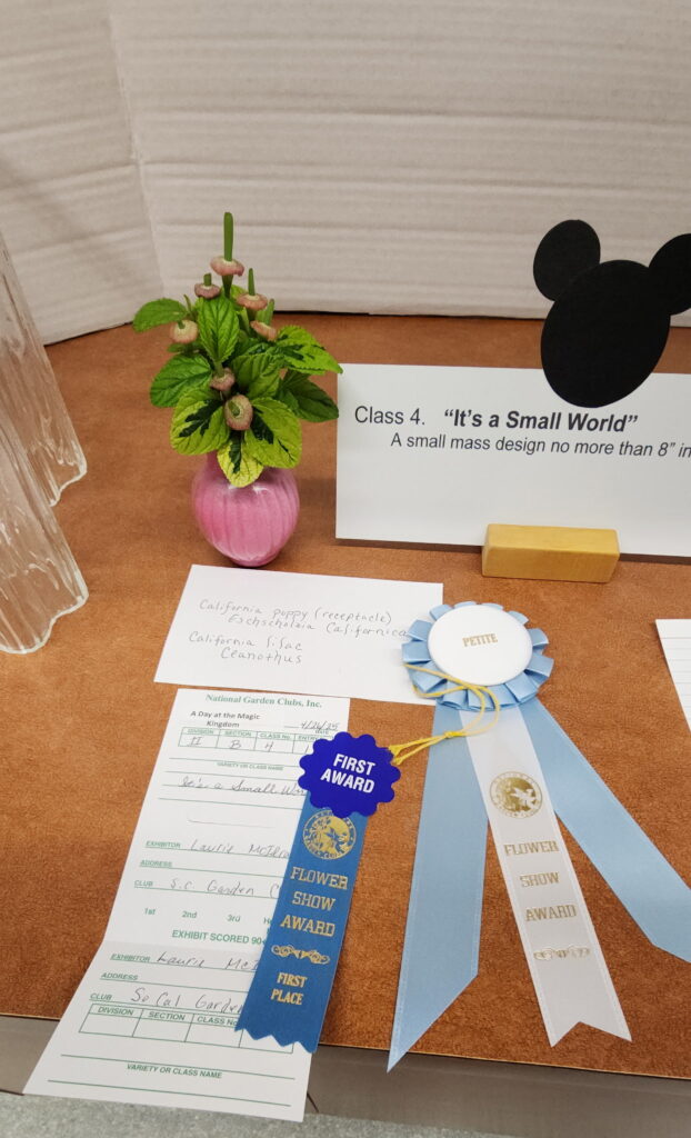 Laurie's Class 4 entry with award ribbon