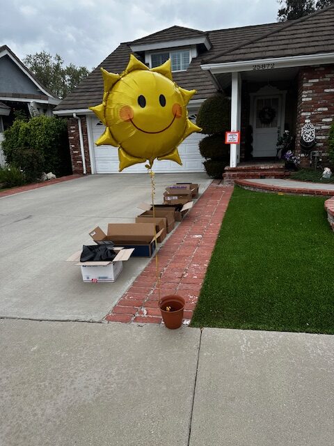 Plant donation day begins with boxes ready to be filled