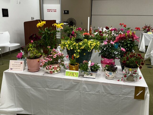A table at the fundraiser filled with colorful plants for sun