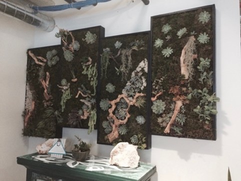 Group of 4 Indoor succulent panels