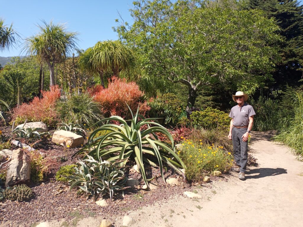 Max enjoying the amazing diversity of plants at Seaside Gardens