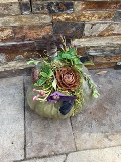 Debra K brought her own home grown blue/green pumpkin and created a beautiful arrangement