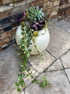 A lovely creation by one of our Sunshine Garden Club members